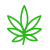 Cannabisszal